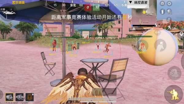 和平精英《太极》辅助